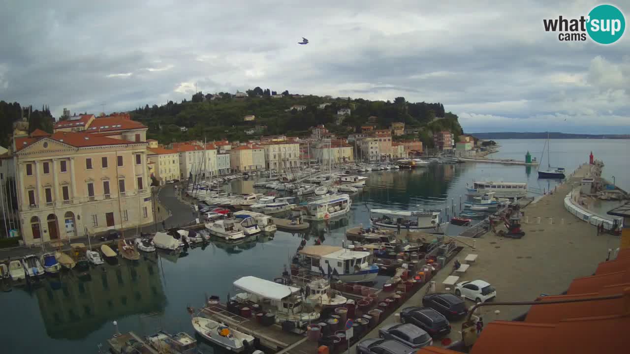 Webcam en direct de Piran “Mandrač” – Incroyable vue en direct de la Villa Piranesi