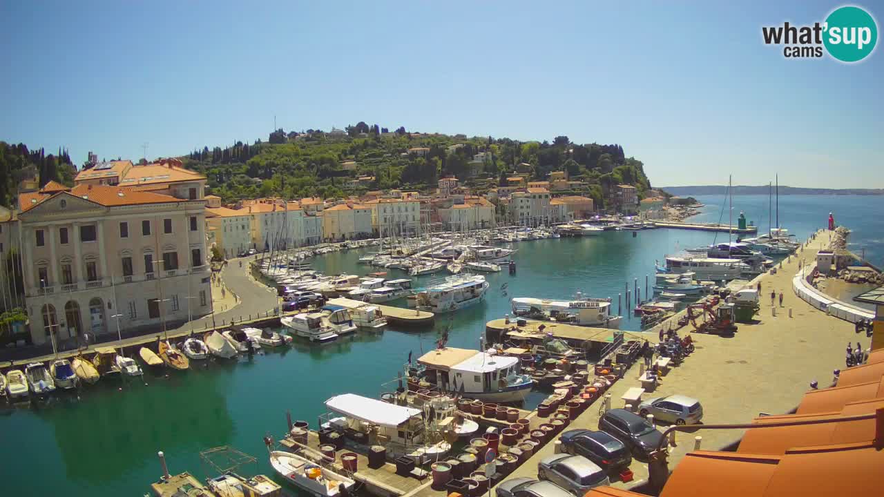 Live webcam da Pirano “Mandrač” – Splendida vista live da Villa Piranesi