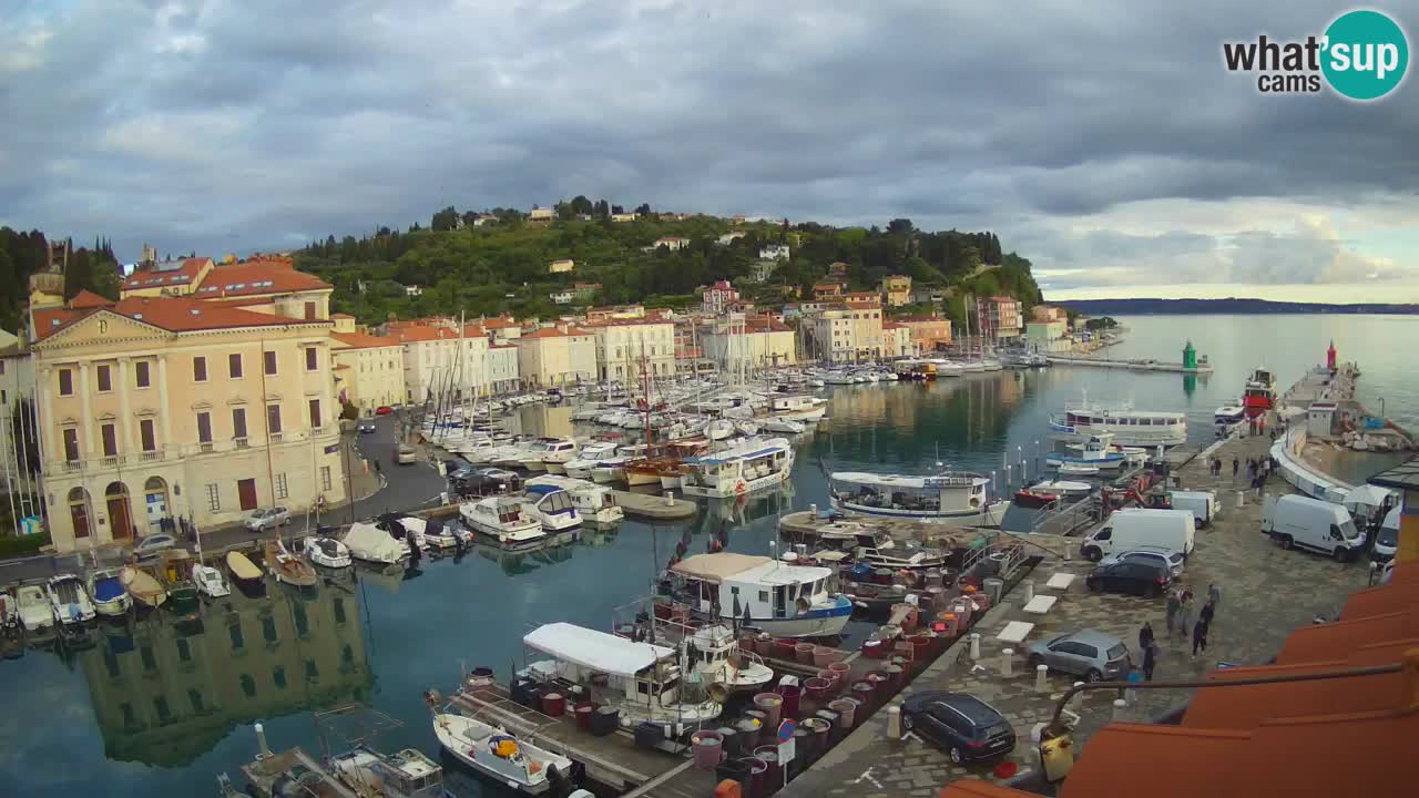 Iz Pirana Spletna kamera v živo “Mandrač” – Neverjeten pogled v živo iz Vile Piranesi