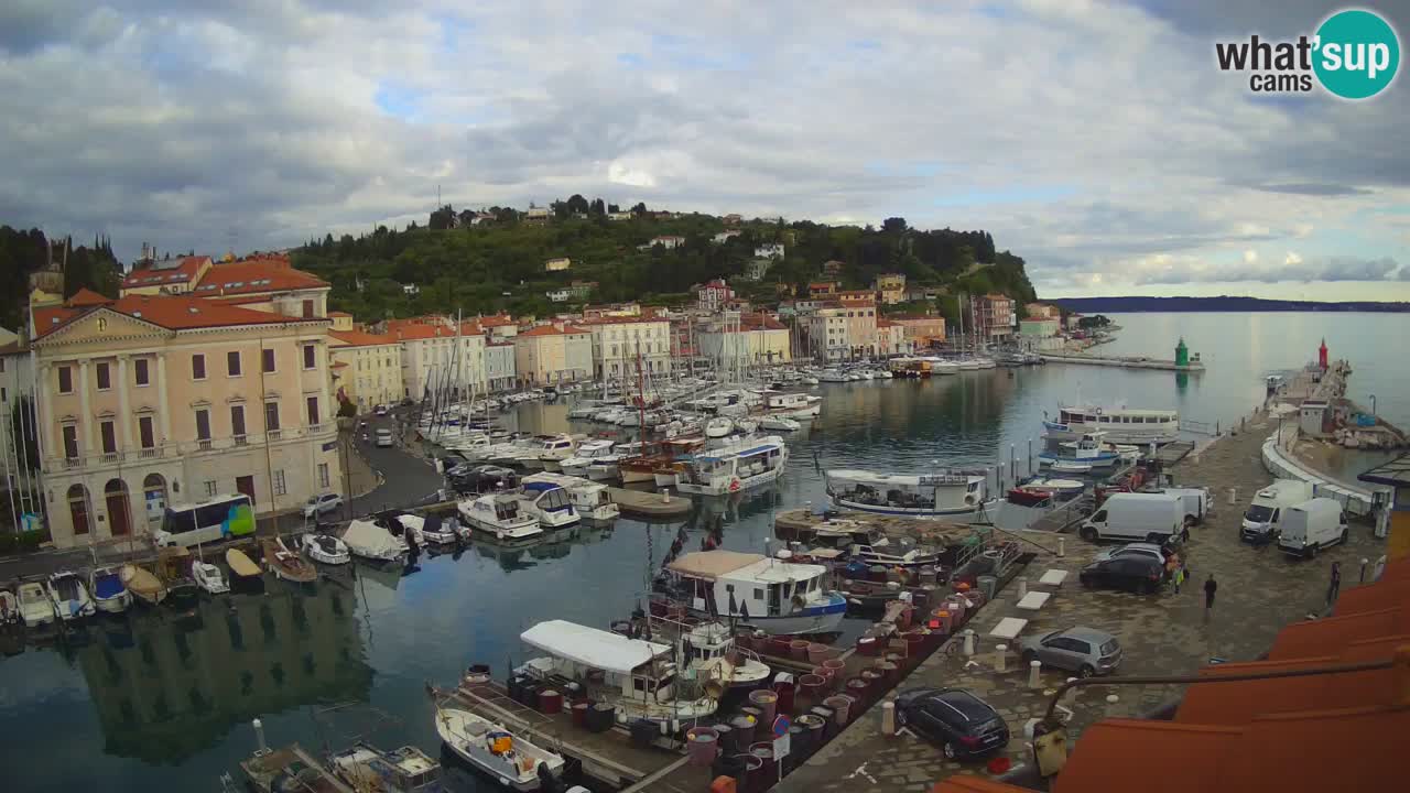 Web kamera uživo iz Pirana “Mandrač” – Nevjerojatan pogled uživo iz Ville Piranesi
