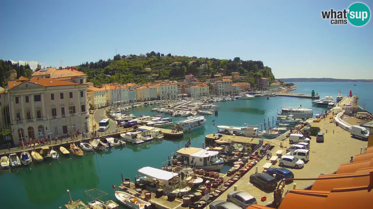 Live webcam da Pirano “Mandrač” – Splendida vista live da Villa Piranesi