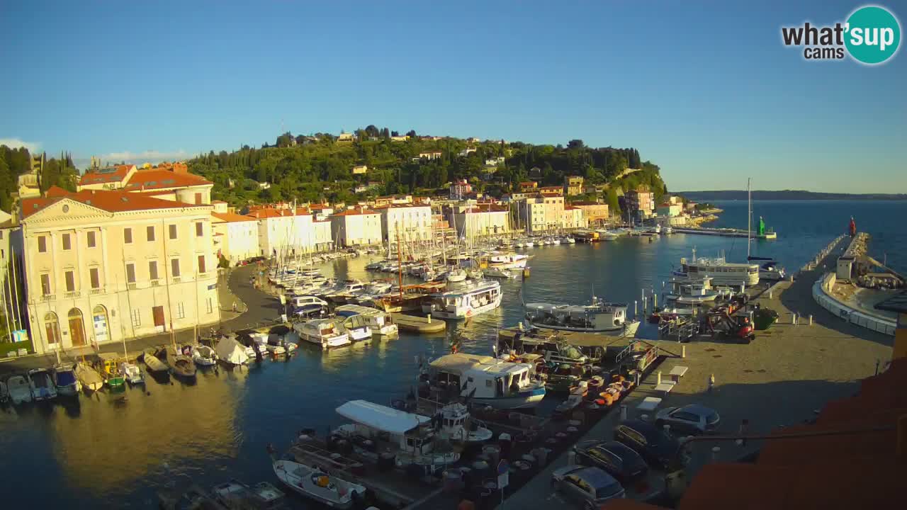 Web kamera uživo iz Pirana “Mandrač” – Nevjerojatan pogled uživo iz Ville Piranesi