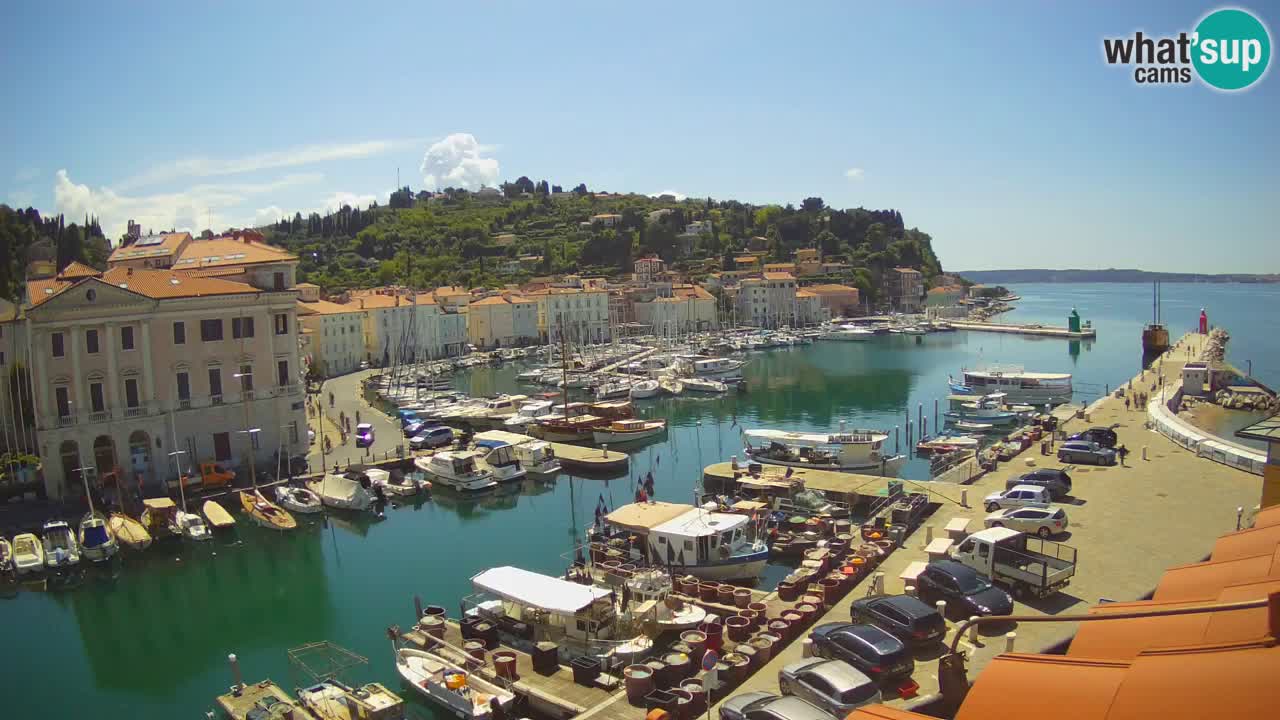 Webcam en direct de Piran “Mandrač” – Incroyable vue en direct de la Villa Piranesi