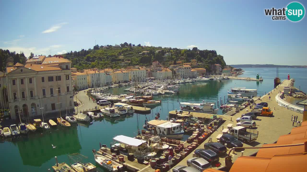 Webcam en direct de Piran “Mandrač” – Incroyable vue en direct de la Villa Piranesi