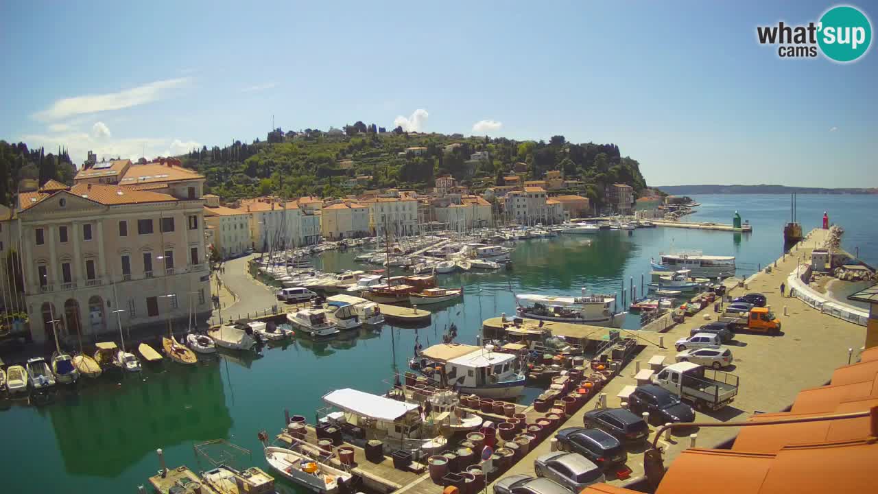 Live-Webcam aus Piran “Mandrač” – Erstaunliche Live-Ansicht von Villa Piranesi