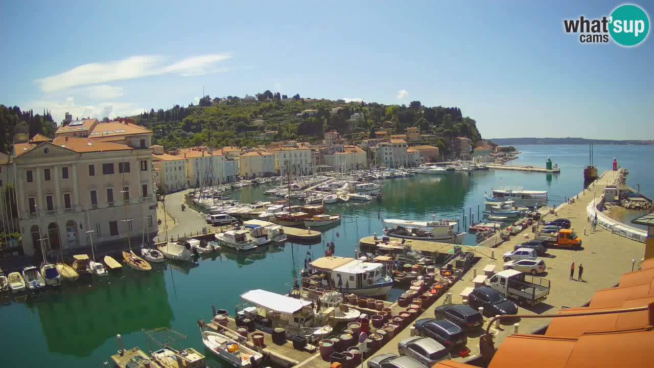 Webcam en direct de Piran “Mandrač” – Incroyable vue en direct de la Villa Piranesi