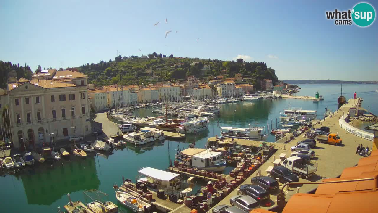Live-Webcam aus Piran “Mandrač” – Erstaunliche Live-Ansicht von Villa Piranesi