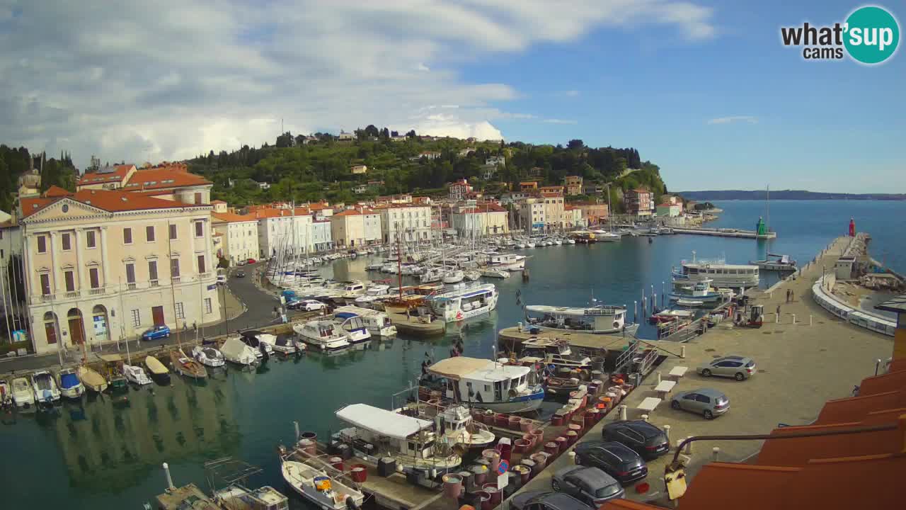 Iz Pirana Spletna kamera v živo “Mandrač” – Neverjeten pogled v živo iz Vile Piranesi