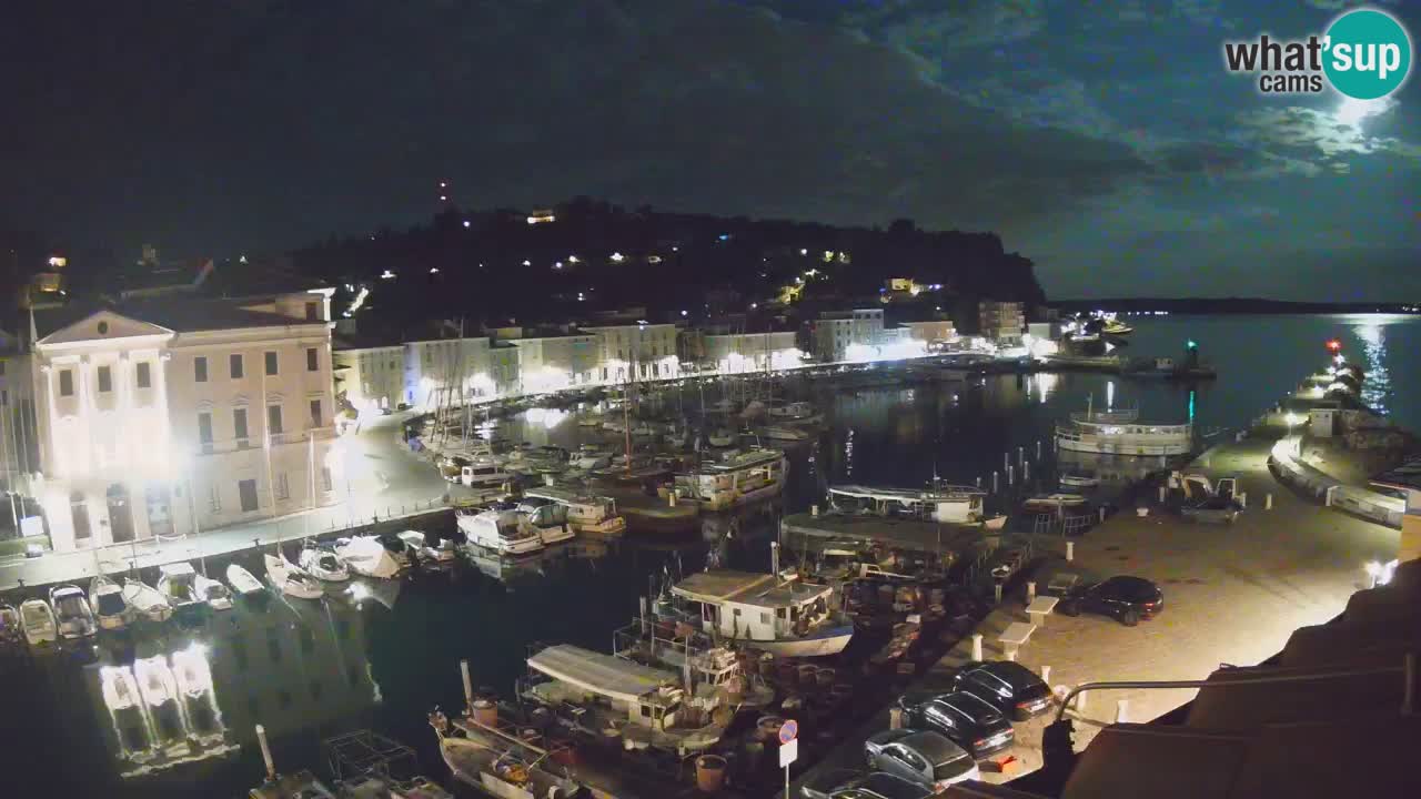 Iz Pirana Spletna kamera v živo “Mandrač” – Neverjeten pogled v živo iz Vile Piranesi