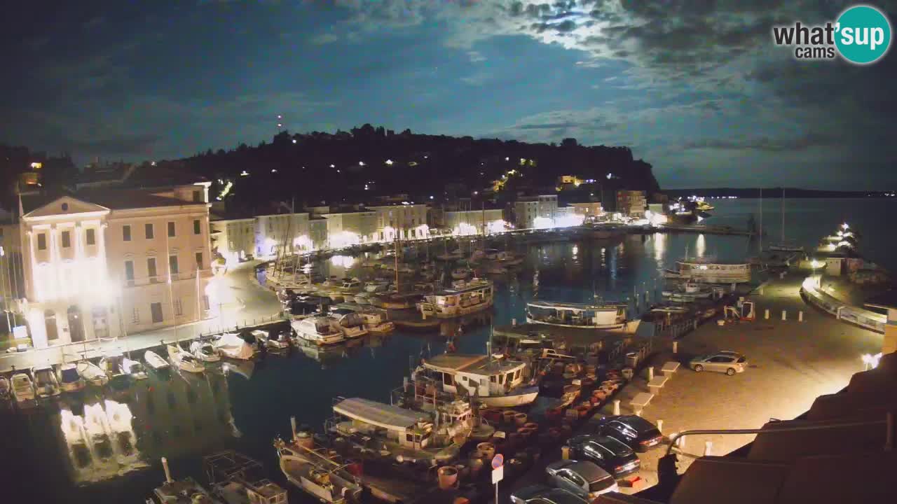 Iz Pirana Spletna kamera v živo “Mandrač” – Neverjeten pogled v živo iz Vile Piranesi