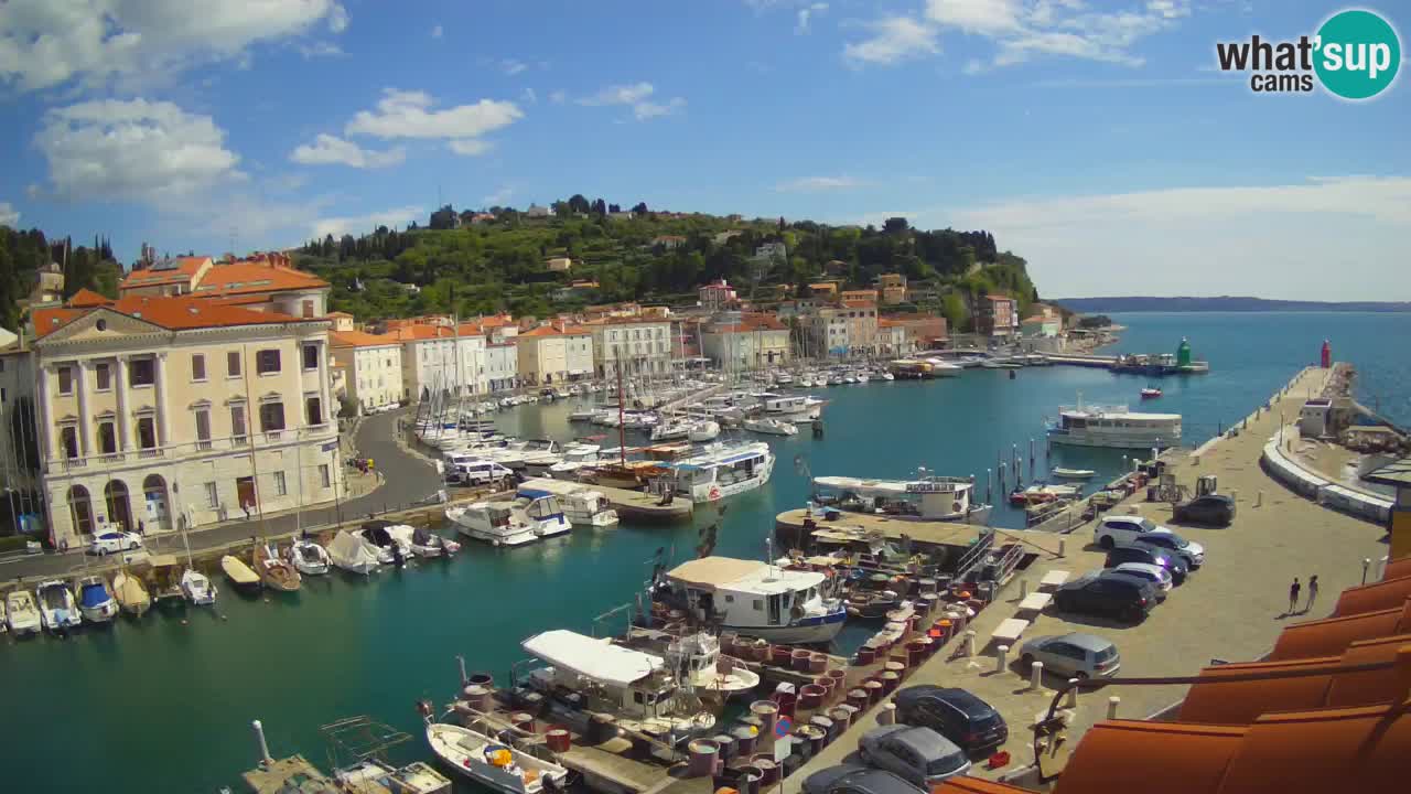 Web kamera uživo iz Pirana “Mandrač” – Nevjerojatan pogled uživo iz Ville Piranesi