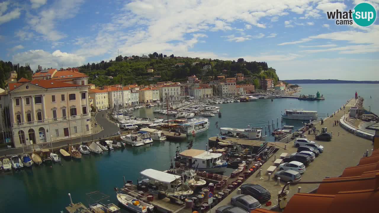 Live webcam from Piran “Mandrač” – Amazing live view from Villa Piranesi