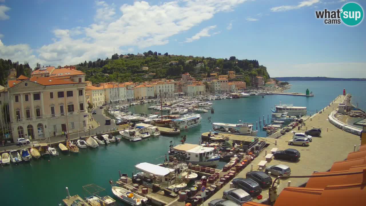 Live webcam da Pirano “Mandrač” – Splendida vista live da Villa Piranesi