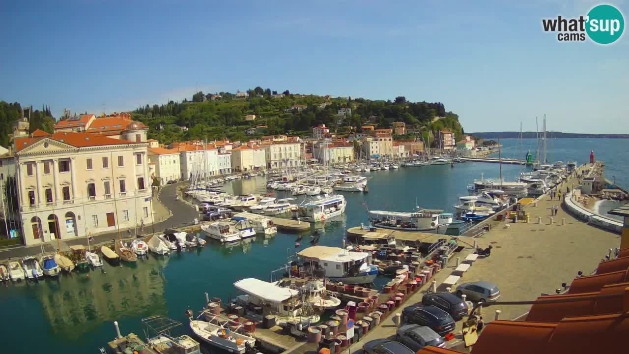 Live-Webcam aus Piran “Mandrač” – Erstaunliche Live-Ansicht von Villa Piranesi