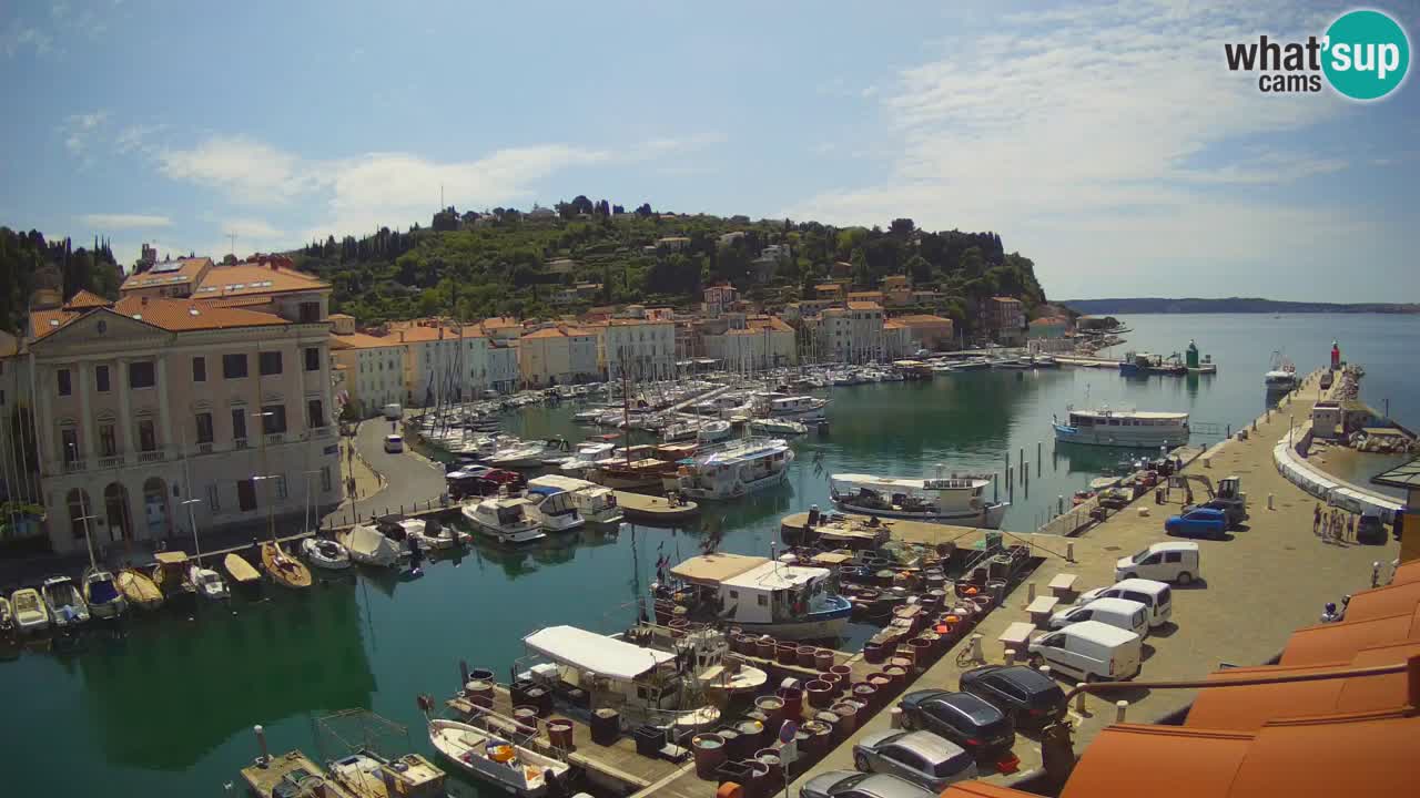 Live webcam from Piran “Mandrač” – Amazing live view from Villa Piranesi