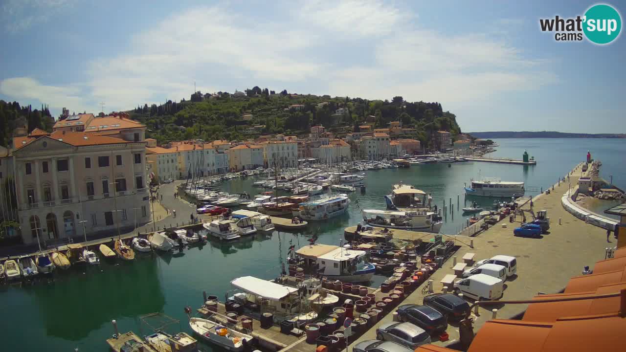 Live-Webcam aus Piran “Mandrač” – Erstaunliche Live-Ansicht von Villa Piranesi