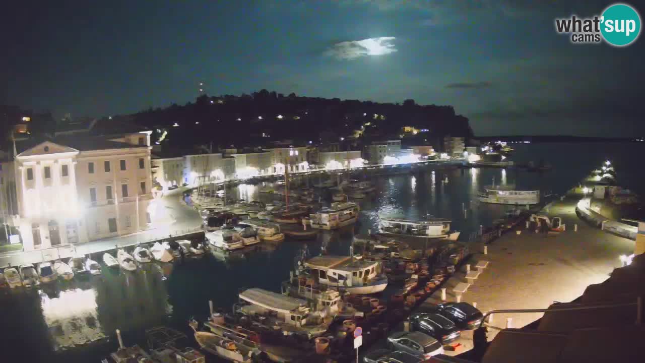 Iz Pirana Spletna kamera v živo “Mandrač” – Neverjeten pogled v živo iz Vile Piranesi