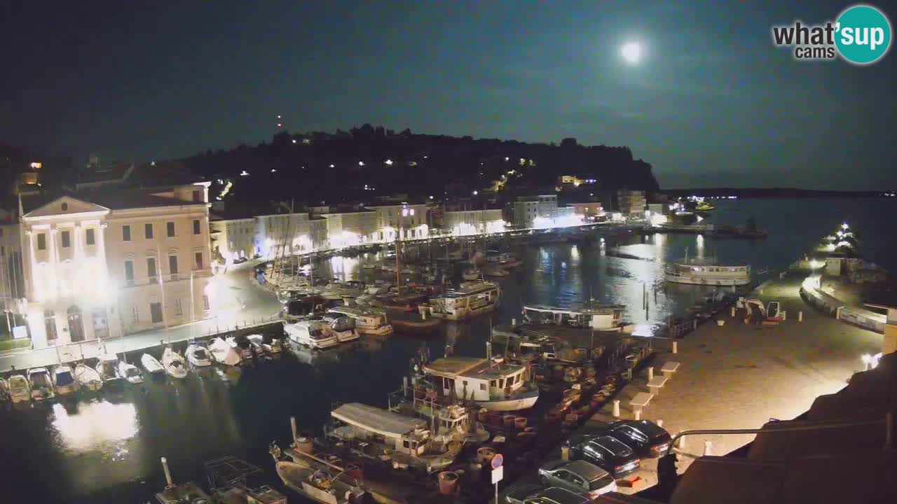 Web kamera uživo iz Pirana “Mandrač” – Nevjerojatan pogled uživo iz Ville Piranesi