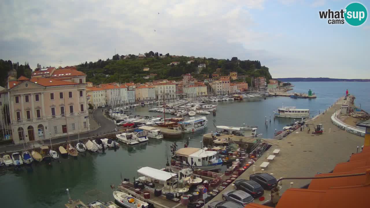 Live webcam from Piran “Mandrač” – Amazing live view from Villa Piranesi