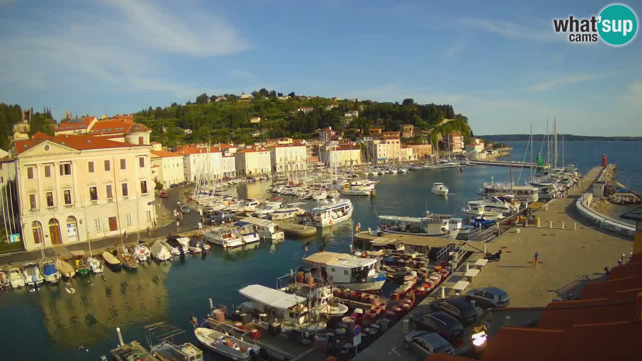 Web kamera uživo iz Pirana “Mandrač” – Nevjerojatan pogled uživo iz Ville Piranesi