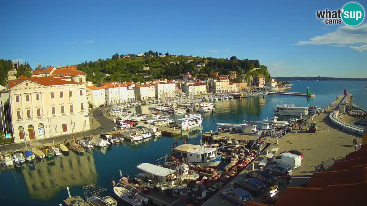 Live webcam da Pirano “Mandrač” – Splendida vista live da Villa Piranesi