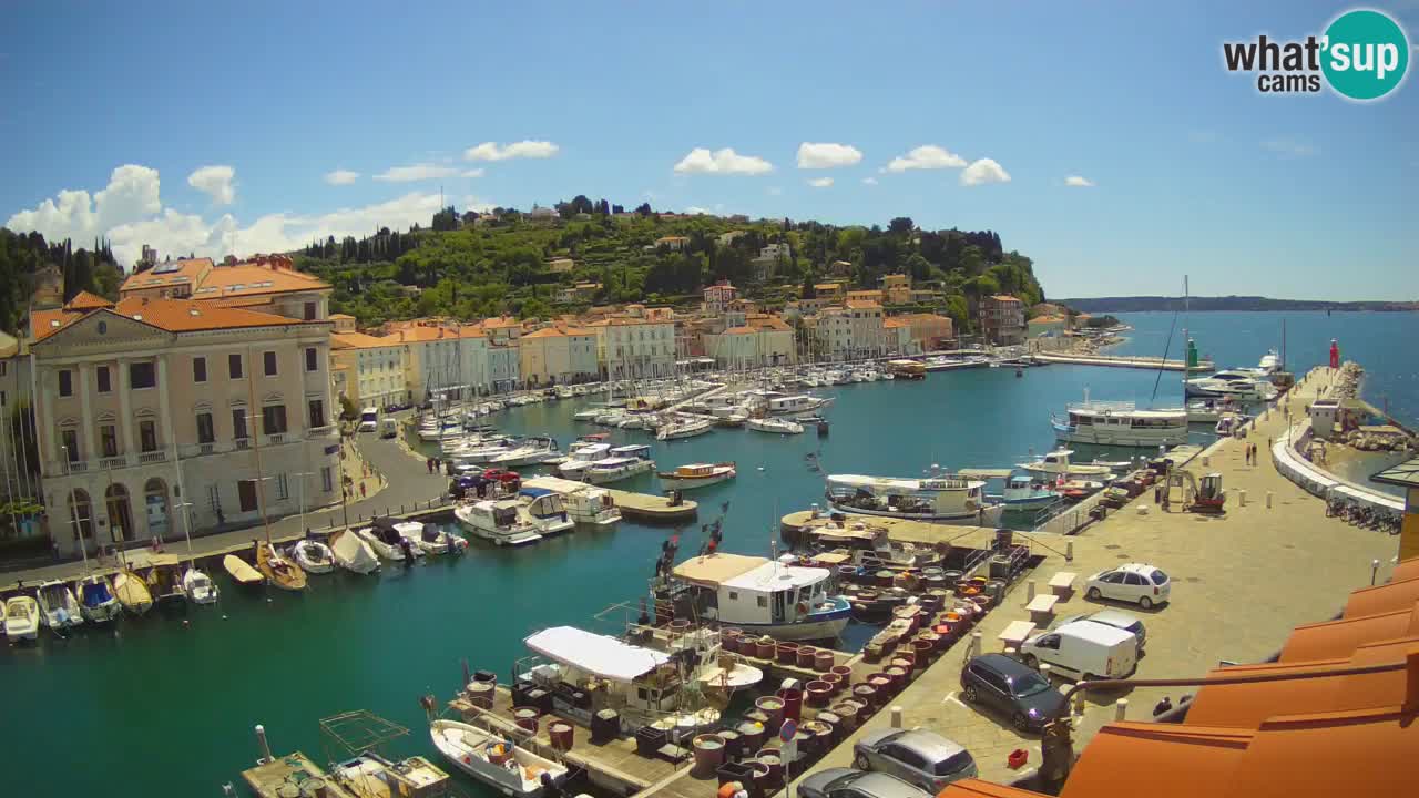 Live-Webcam aus Piran “Mandrač” – Erstaunliche Live-Ansicht von Villa Piranesi