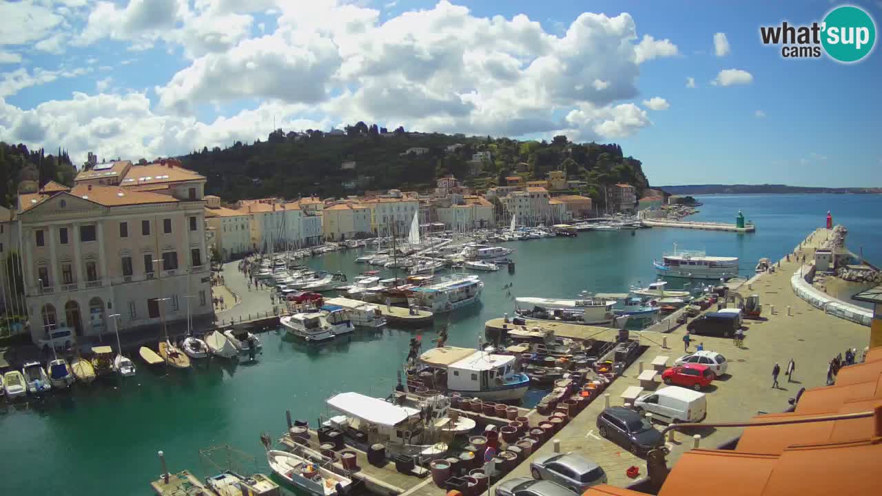 Live webcam da Pirano “Mandrač” – Splendida vista live da Villa Piranesi