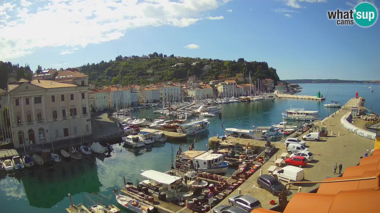 Live webcam da Pirano “Mandrač” – Splendida vista live da Villa Piranesi