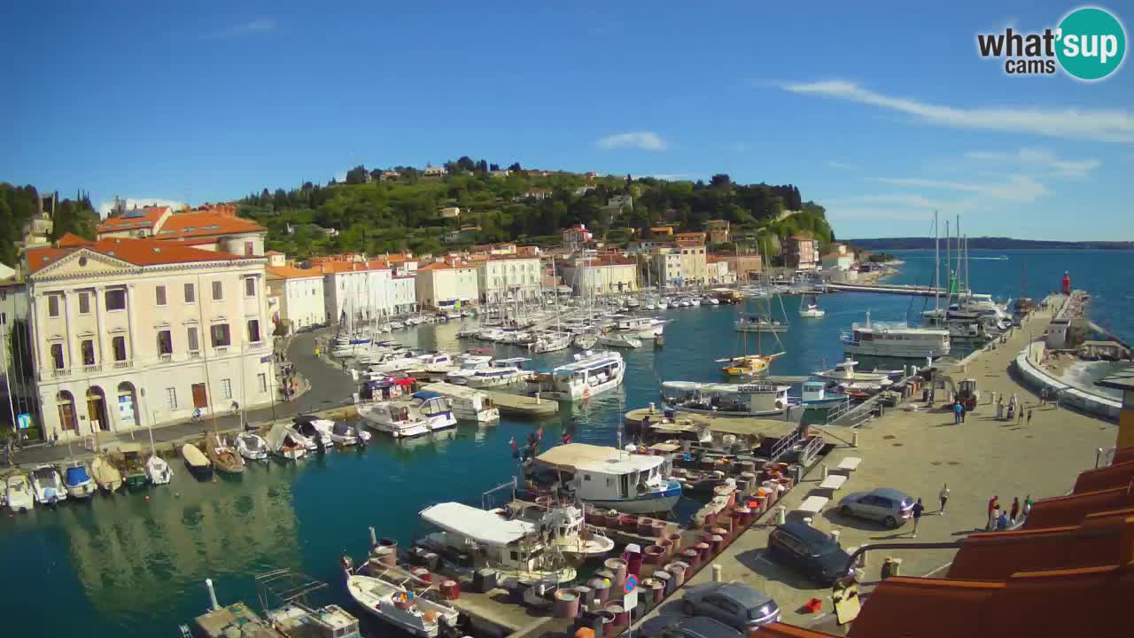 Live webcam da Pirano “Mandrač” – Splendida vista live da Villa Piranesi