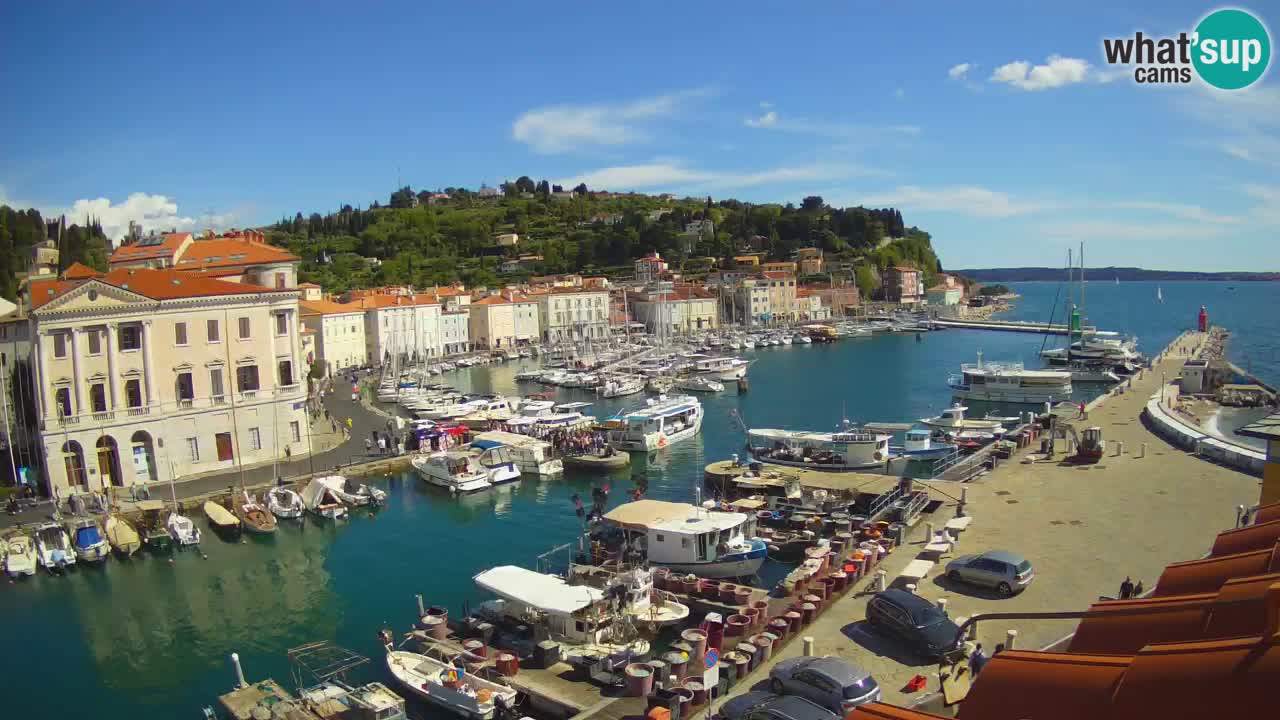 Live-Webcam aus Piran “Mandrač” – Erstaunliche Live-Ansicht von Villa Piranesi