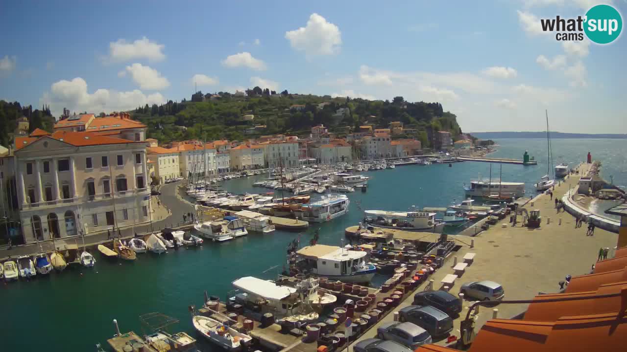 Live-Webcam aus Piran “Mandrač” – Erstaunliche Live-Ansicht von Villa Piranesi