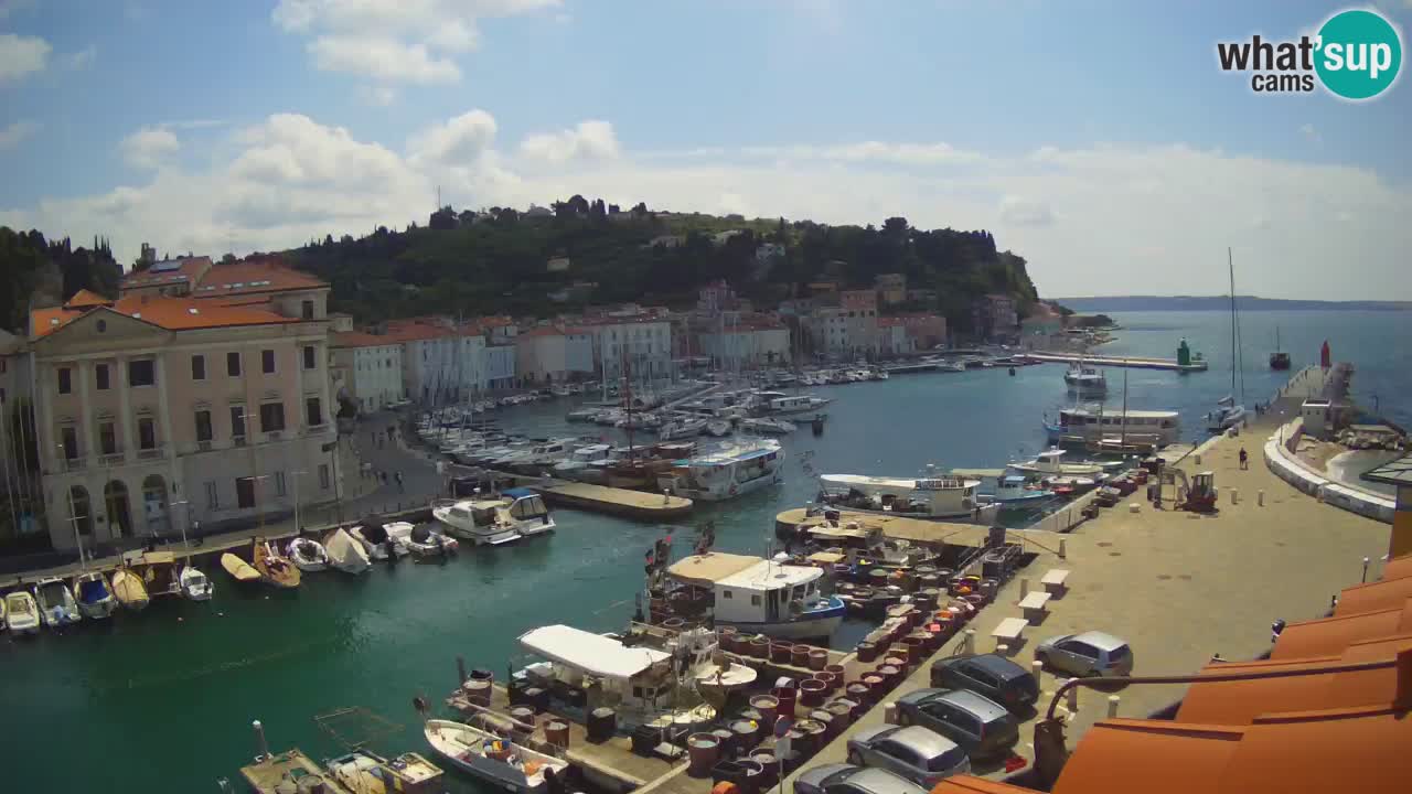 Webcam en direct de Piran “Mandrač” – Incroyable vue en direct de la Villa Piranesi