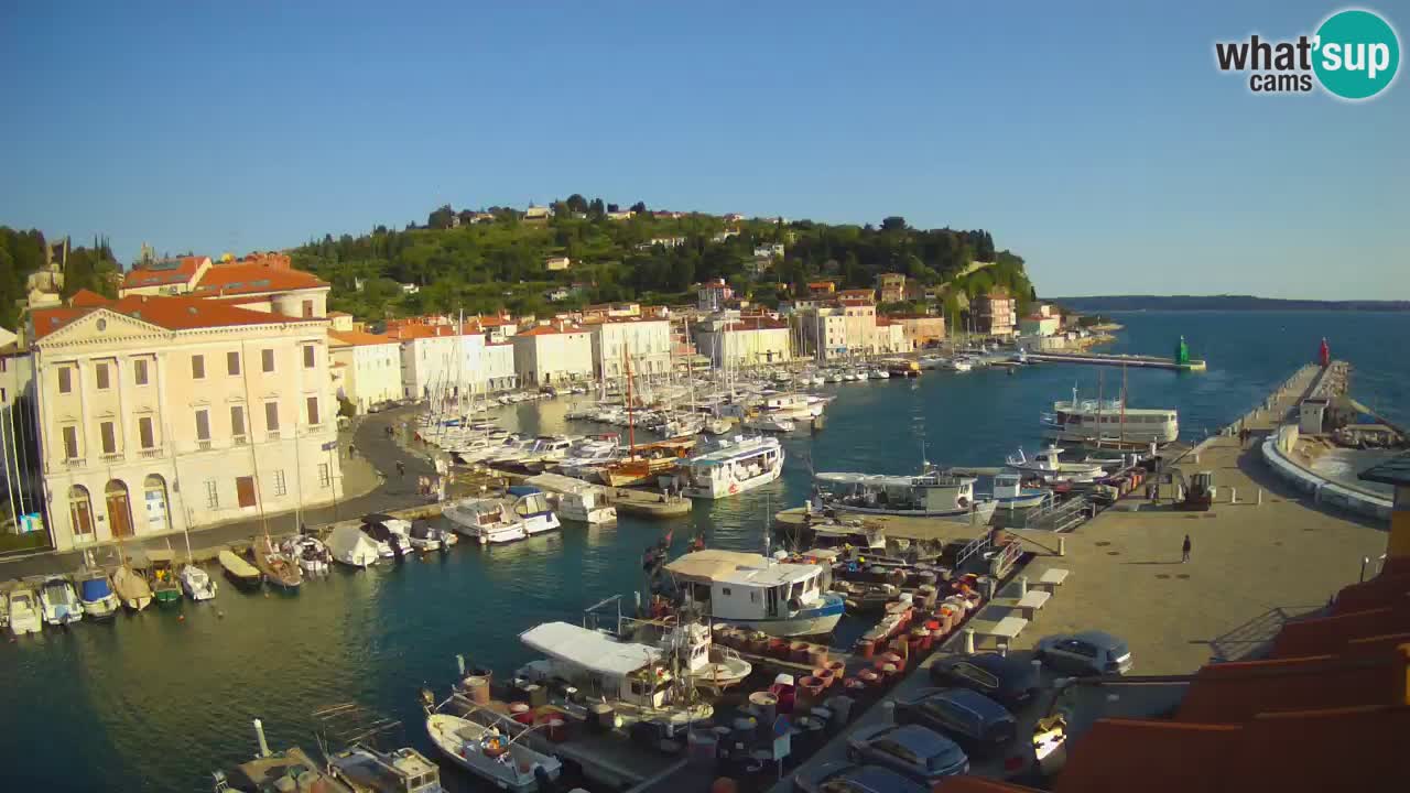 Iz Pirana Spletna kamera v živo “Mandrač” – Neverjeten pogled v živo iz Vile Piranesi