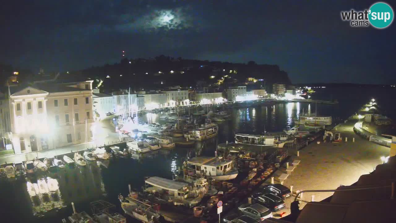 Iz Pirana Spletna kamera v živo “Mandrač” – Neverjeten pogled v živo iz Vile Piranesi