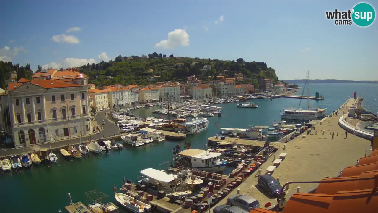 Web kamera uživo iz Pirana “Mandrač” – Nevjerojatan pogled uživo iz Ville Piranesi
