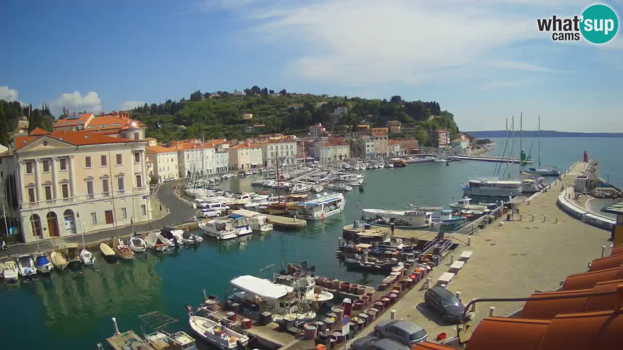 Webcam en direct de Piran “Mandrač” – Incroyable vue en direct de la Villa Piranesi
