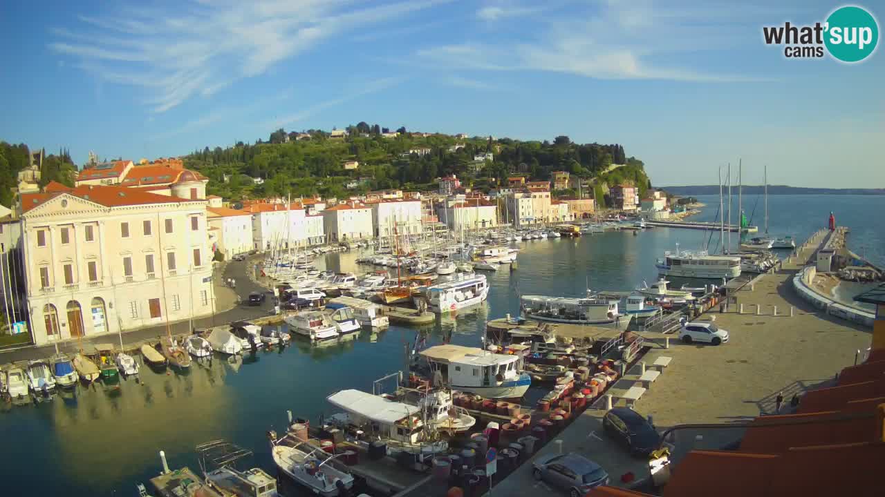 Iz Pirana Spletna kamera v živo “Mandrač” – Neverjeten pogled v živo iz Vile Piranesi