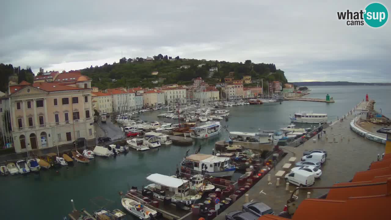 Live webcam from Piran “Mandrač” – Amazing live view from Villa Piranesi