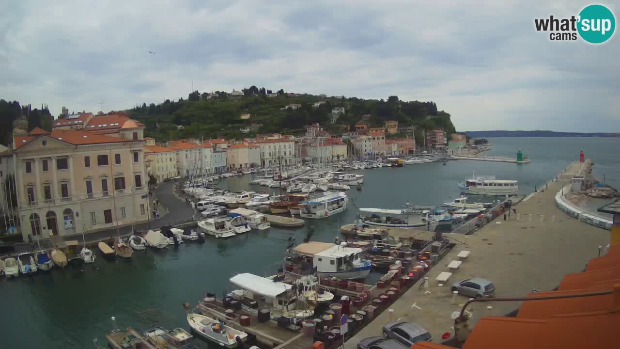 Iz Pirana Spletna kamera v živo “Mandrač” – Neverjeten pogled v živo iz Vile Piranesi