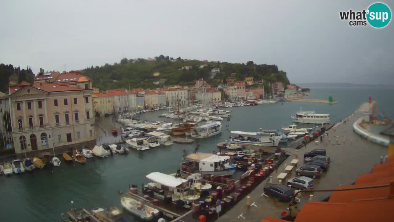 Webcam en direct de Piran “Mandrač” – Incroyable vue en direct de la Villa Piranesi