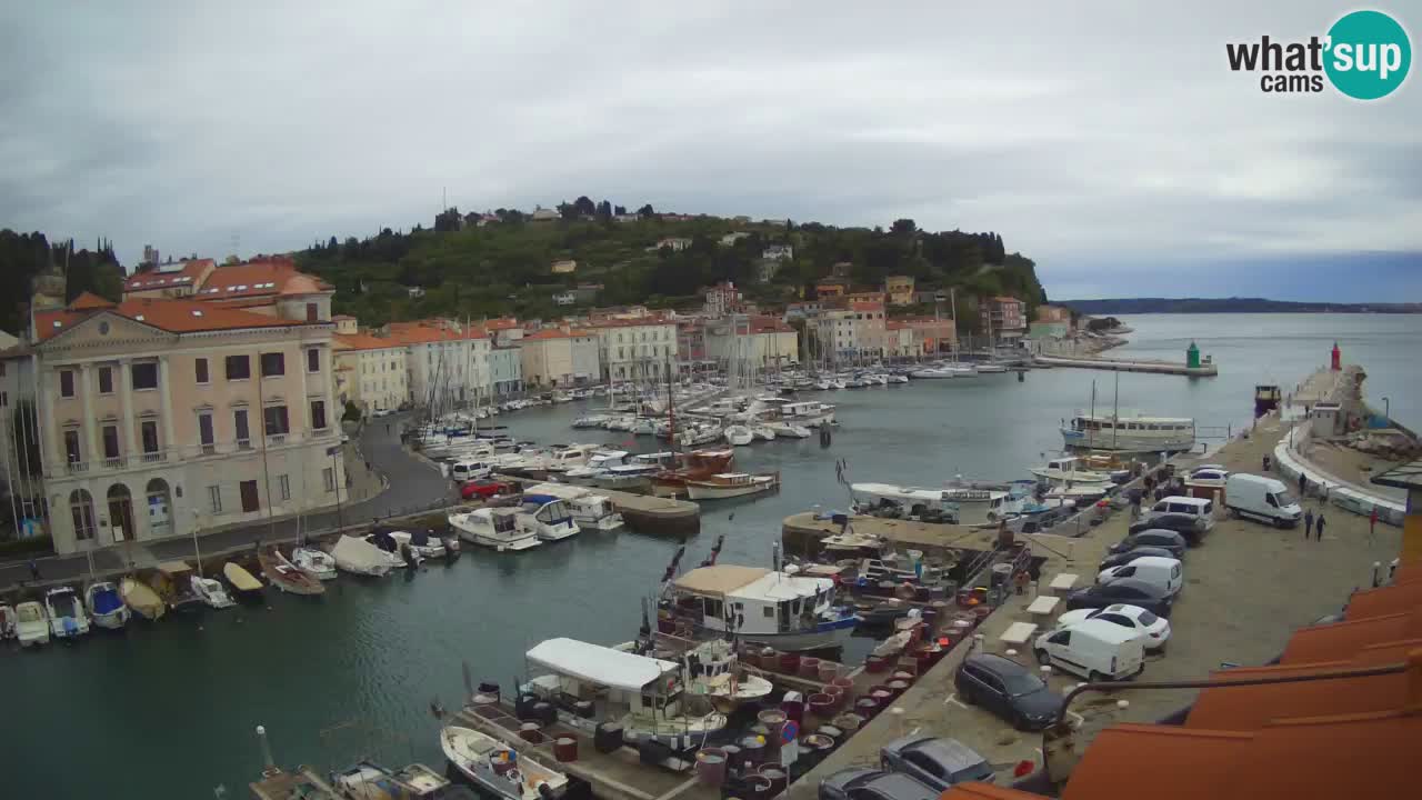 Live-Webcam aus Piran “Mandrač” – Erstaunliche Live-Ansicht von Villa Piranesi