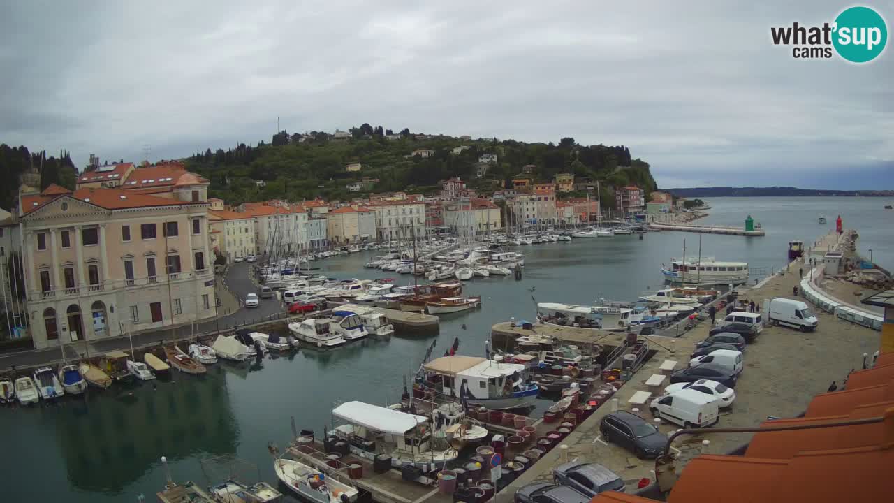 Live webcam from Piran “Mandrač” – Amazing live view from Villa Piranesi