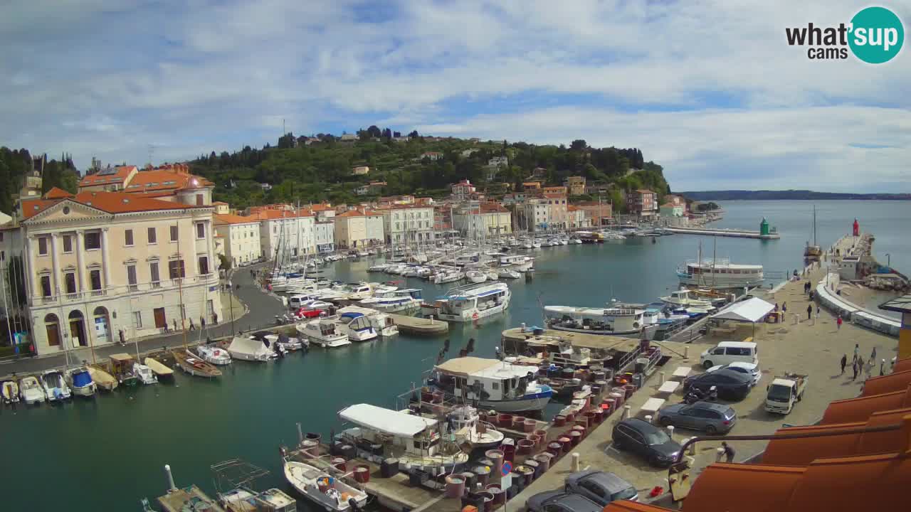 Web kamera uživo iz Pirana “Mandrač” – Nevjerojatan pogled uživo iz Ville Piranesi