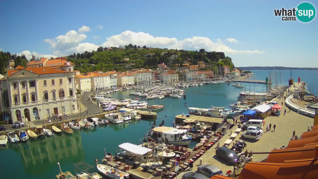 Live webcam da Pirano “Mandrač” – Splendida vista live da Villa Piranesi