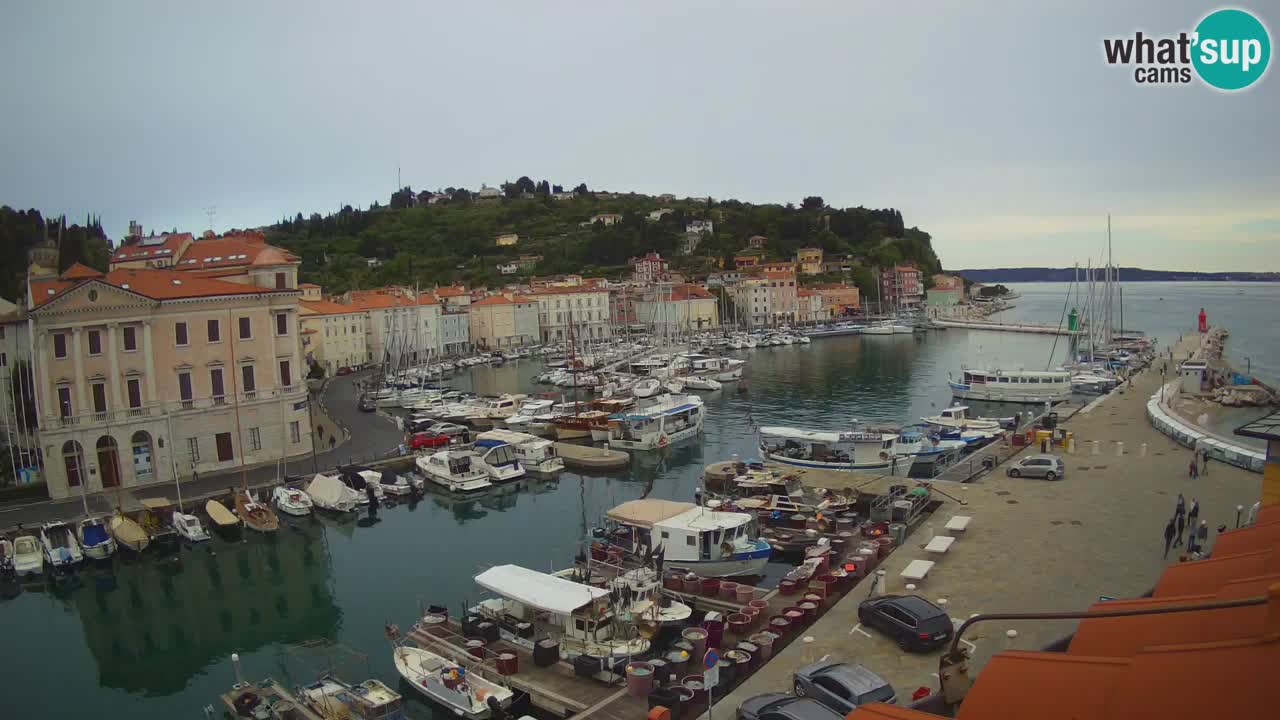 Live webcam da Pirano “Mandrač” – Splendida vista live da Villa Piranesi