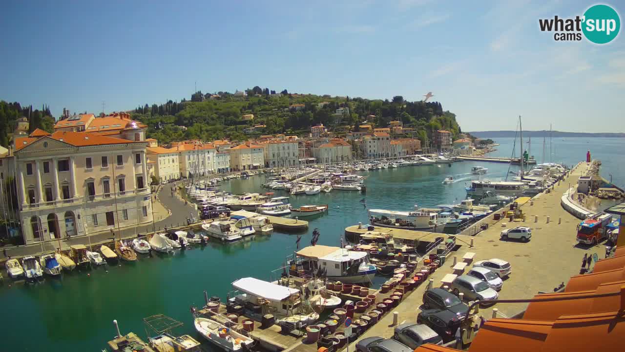 Live-Webcam aus Piran “Mandrač” – Erstaunliche Live-Ansicht von Villa Piranesi