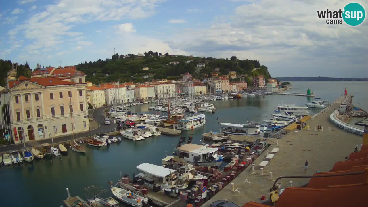 Web kamera uživo iz Pirana “Mandrač” – Nevjerojatan pogled uživo iz Ville Piranesi
