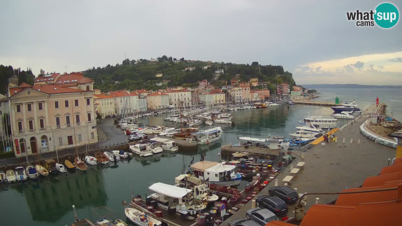 Web kamera uživo iz Pirana “Mandrač” – Nevjerojatan pogled uživo iz Ville Piranesi