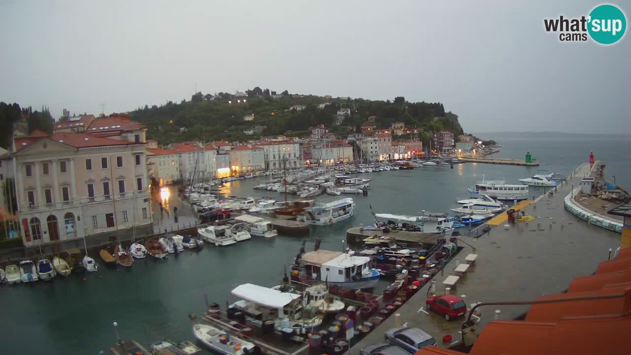 Web kamera uživo iz Pirana “Mandrač” – Nevjerojatan pogled uživo iz Ville Piranesi
