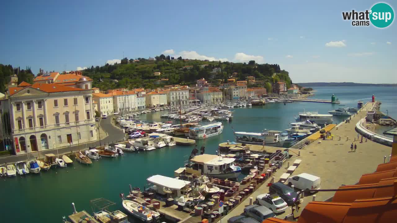 Live-Webcam aus Piran “Mandrač” – Erstaunliche Live-Ansicht von Villa Piranesi